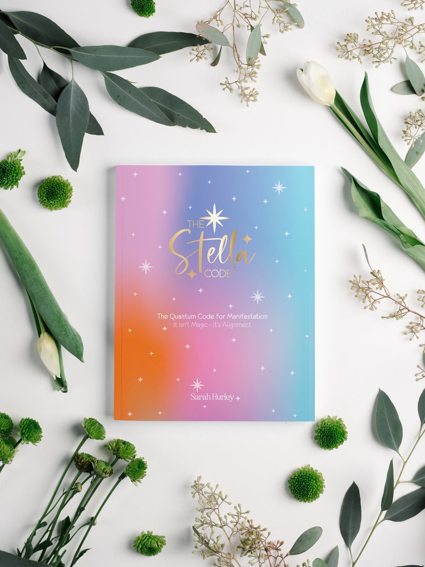 PRE-ORDER - The Stella Code Book by Sarah Hurley - Published 1st January 2026