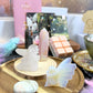 Stella Nova World Drop - Fairyland Curated Discovery