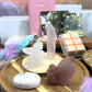 Stella Nova World Drop - Fairyland Curated Discovery
